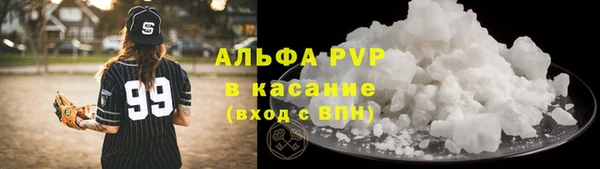 PSILOCYBIN Козловка