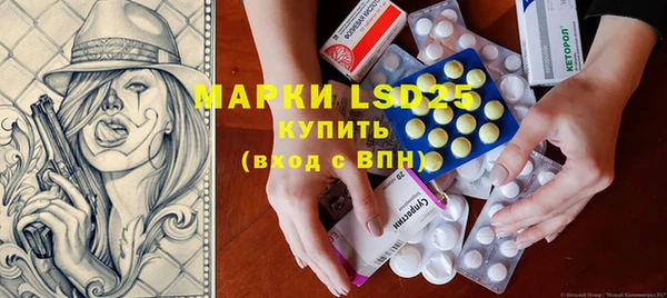 PSILOCYBIN Козловка