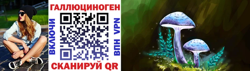 MEGA зеркало  Киржач  Псилоцибиновые грибы Magic Shrooms 
